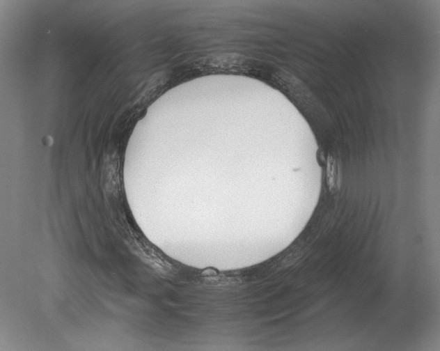 X0000078841107200612111548