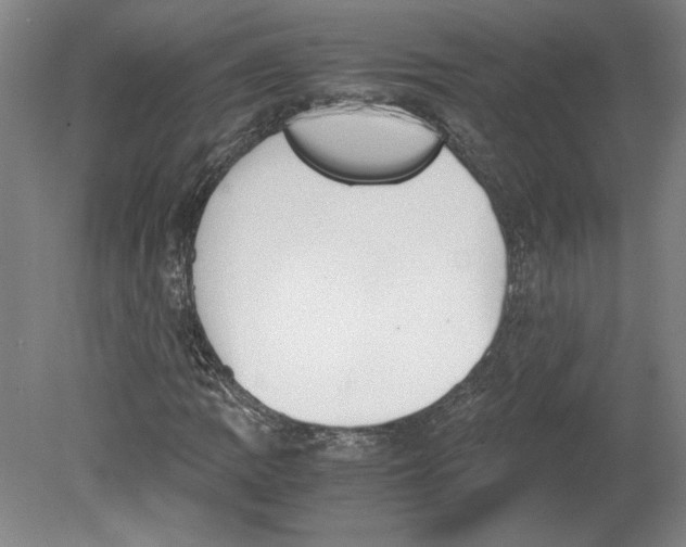 X0000078841109200612111548