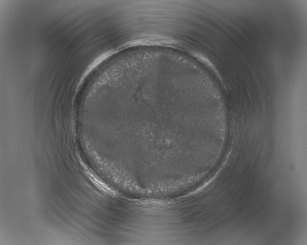 X0000078841114200612111548