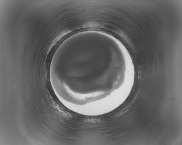 X0000078841117200612111548