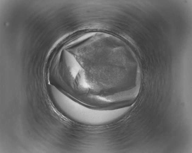 X0000078841120200612111548