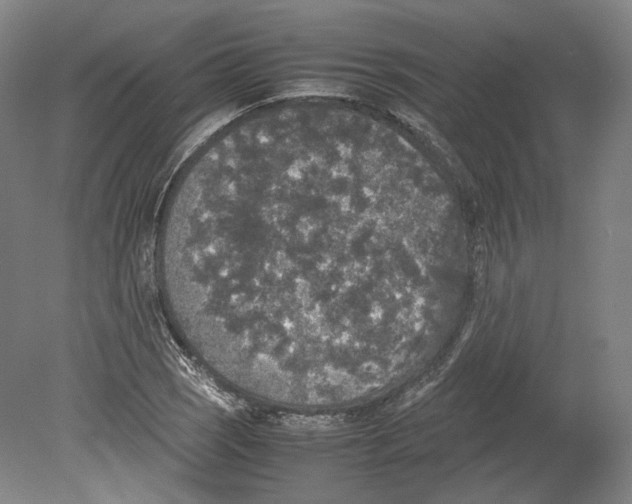 X0000078841121200612111548