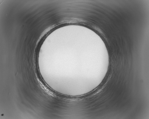 X0000078841122200612111548