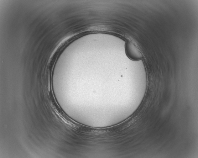 X0000078841123200612111548