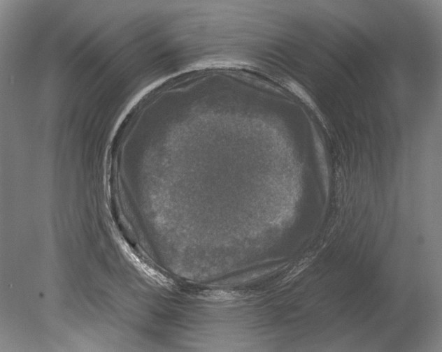 X0000078841124200612111548