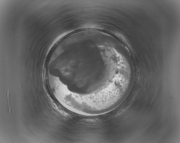 X0000078841125200612111548