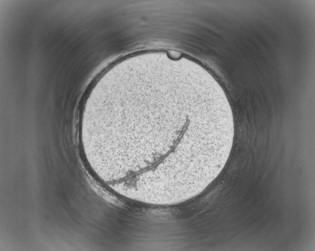 X0000078841126200612111548