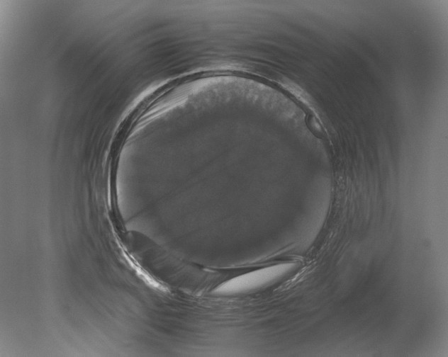 X0000078841127200612111548