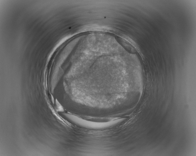 X0000078841128200612111548