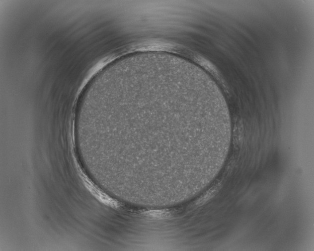 X0000078841130200612111548