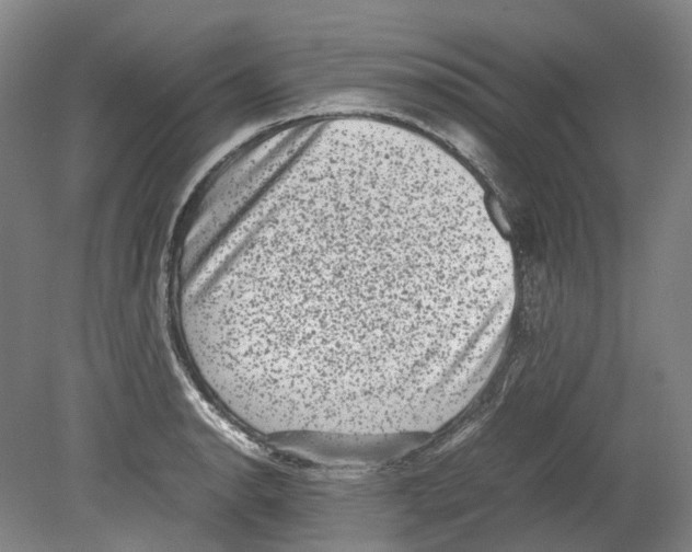 X0000078841134200612111548