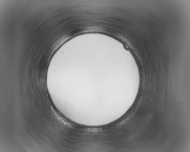 X0000078841137200612111549