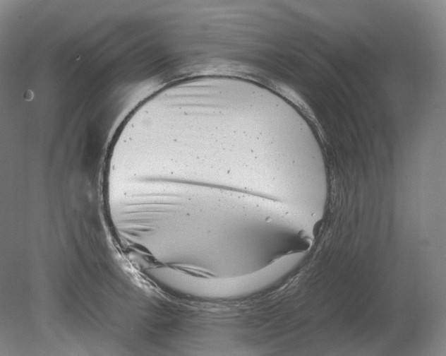 X0000078841138200612111549