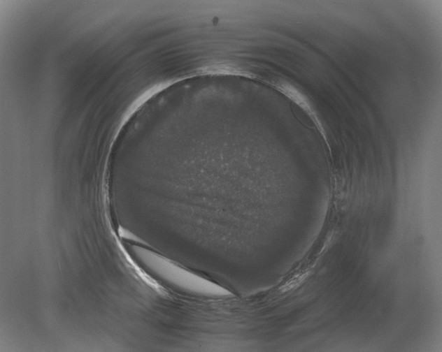 X0000078841141200612111549