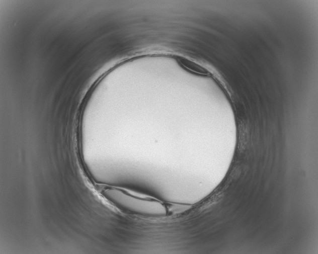 X0000078841142200612111549