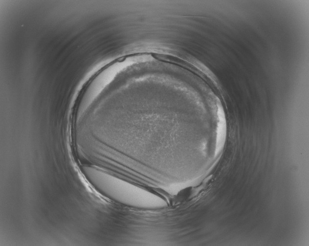 X0000078841144200612111549