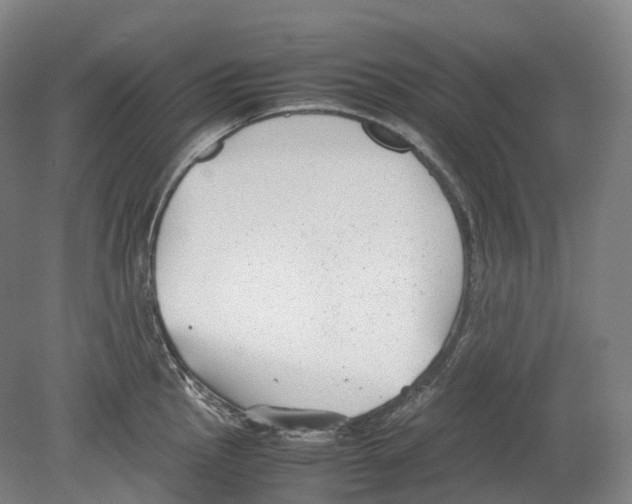 X0000078841145200612111549