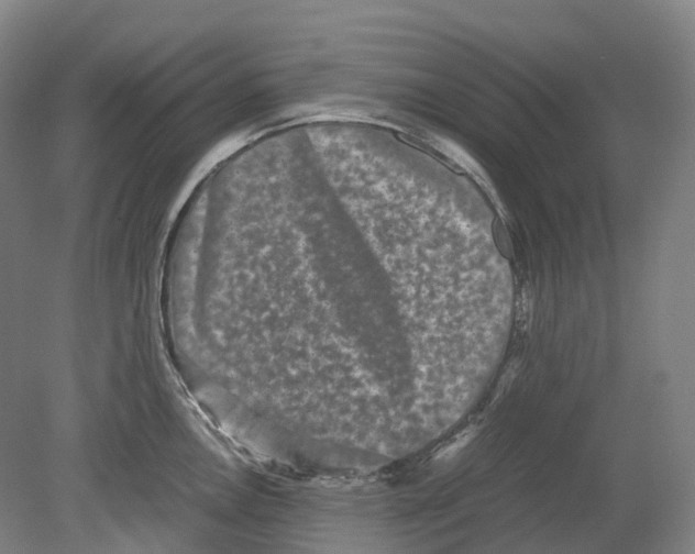 X0000078841146200612111549