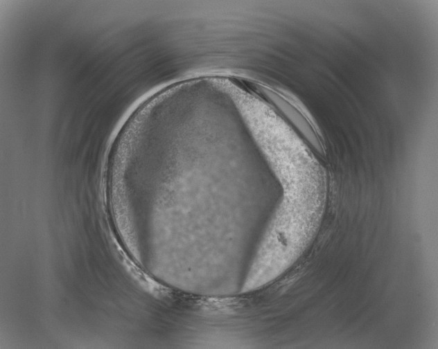 X0000078841148200612111549