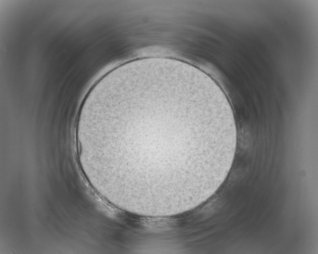 X0000078841150200612111549