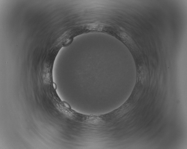 X0000078841154200612111548