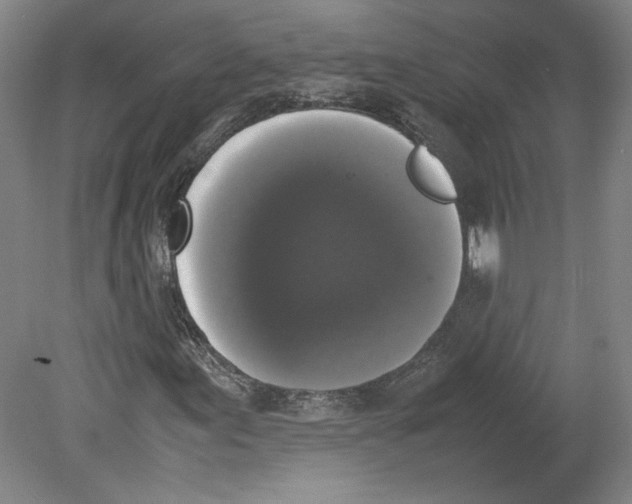 X0000078841155200612111548