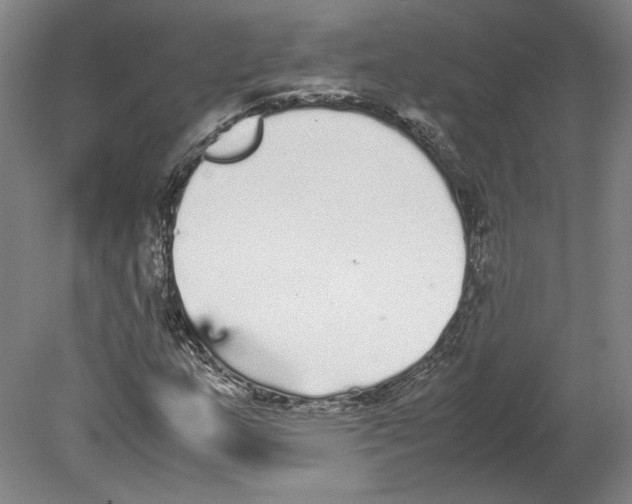 X0000078841159200612111548