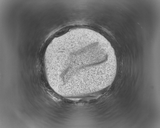 X0000078841160200612111548