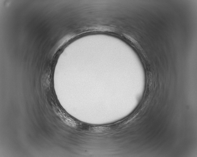 X0000078841163200612111548