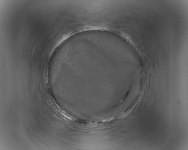 X0000078841165200612111548