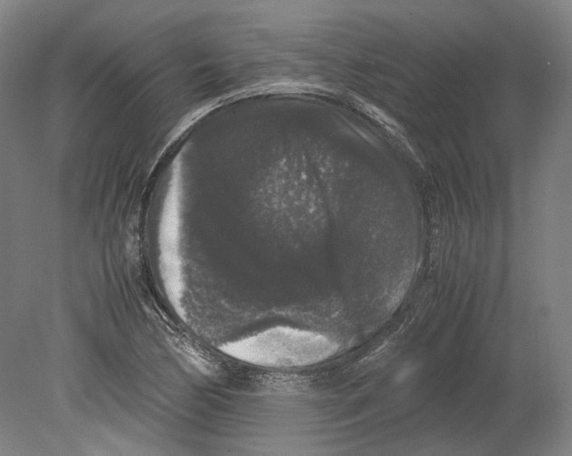 X0000078841170200612111548