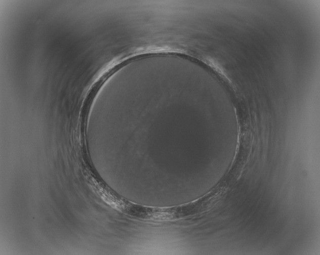 X0000078841173200612111548