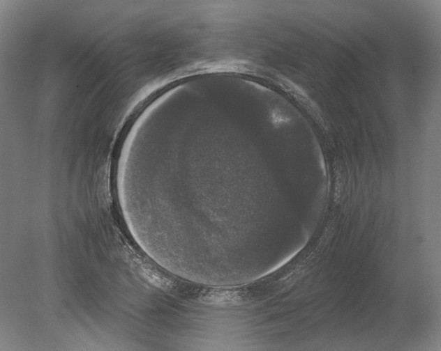 X0000078841174200612111548