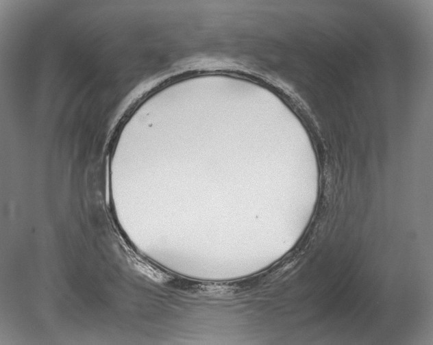 X0000078841175200612111548