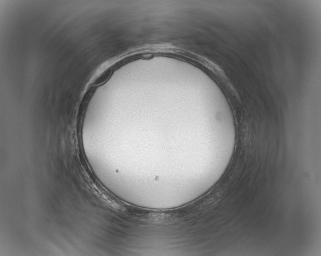 X0000078841176200612111548