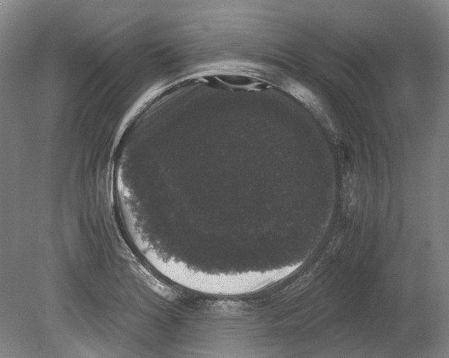 X0000078841180200612111547