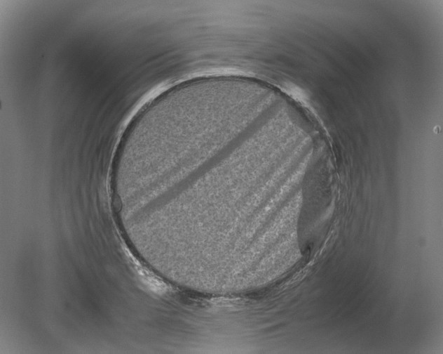 X0000078841181200612111547