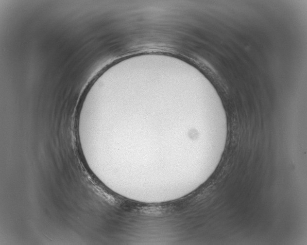 X0000078841182200612111547