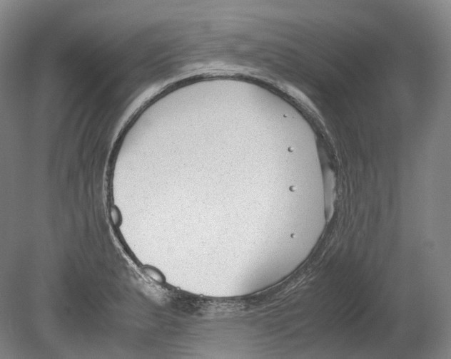 X0000078841183200612111547