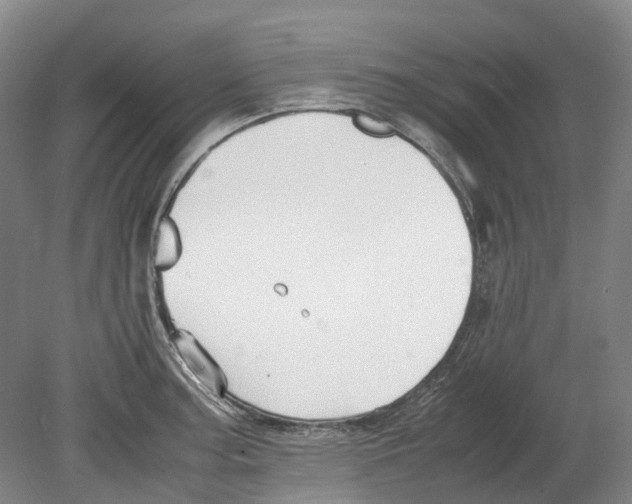 X0000078841187200612111547