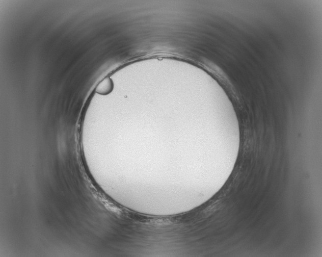 X0000078841190200612111547