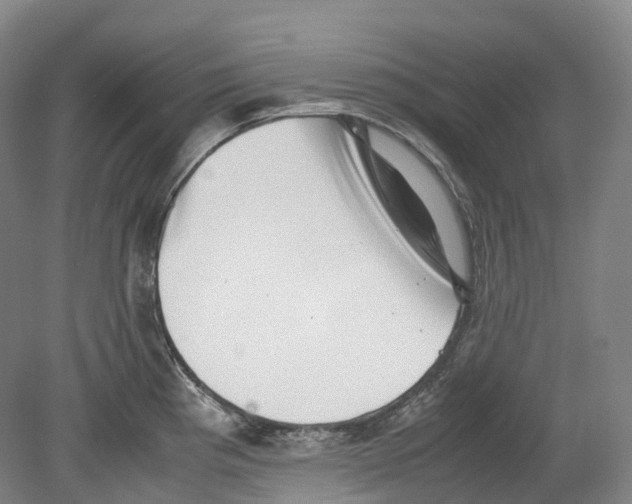 X0000078841193200612111547