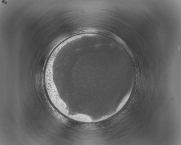 X0000078841194200612111547