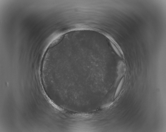 X0000078841197200612111547