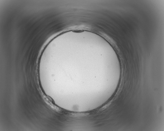 X0000078841200200612111547