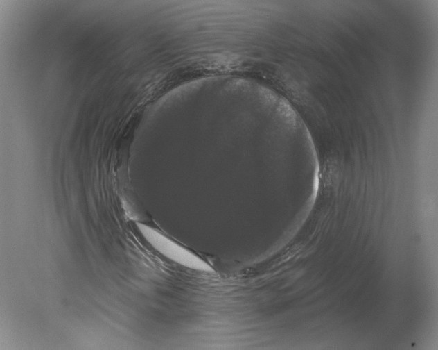 X0000078841202200612111546