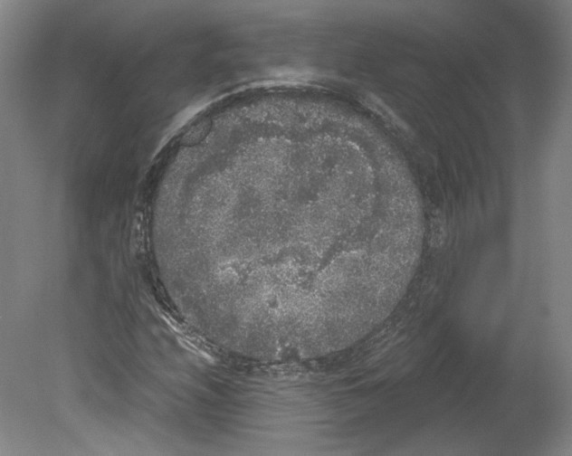 X0000078841208200612111546