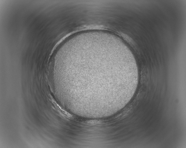 X0000078841212200612111547