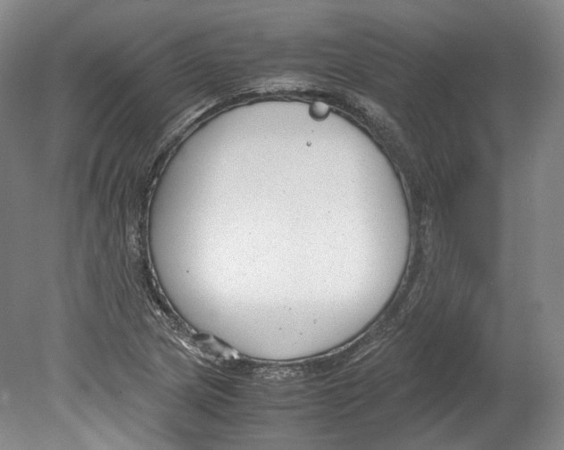 X0000078841217200612111547