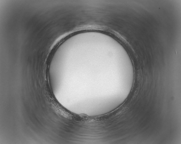 X0000078841222200612111547